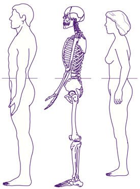 To define the level at which to measure waist circumference first locate and mark a bony landmark The subject stands and the examiner positioned to the subjects right palpates the upper hip bone 